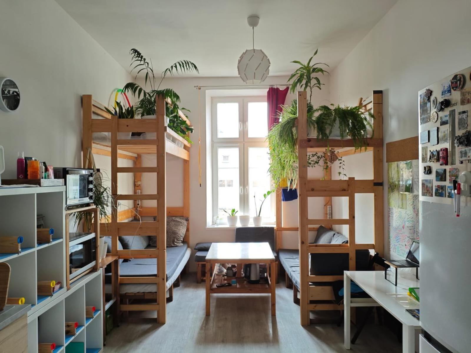 Evergreen Hostel Krakow — Photos 1